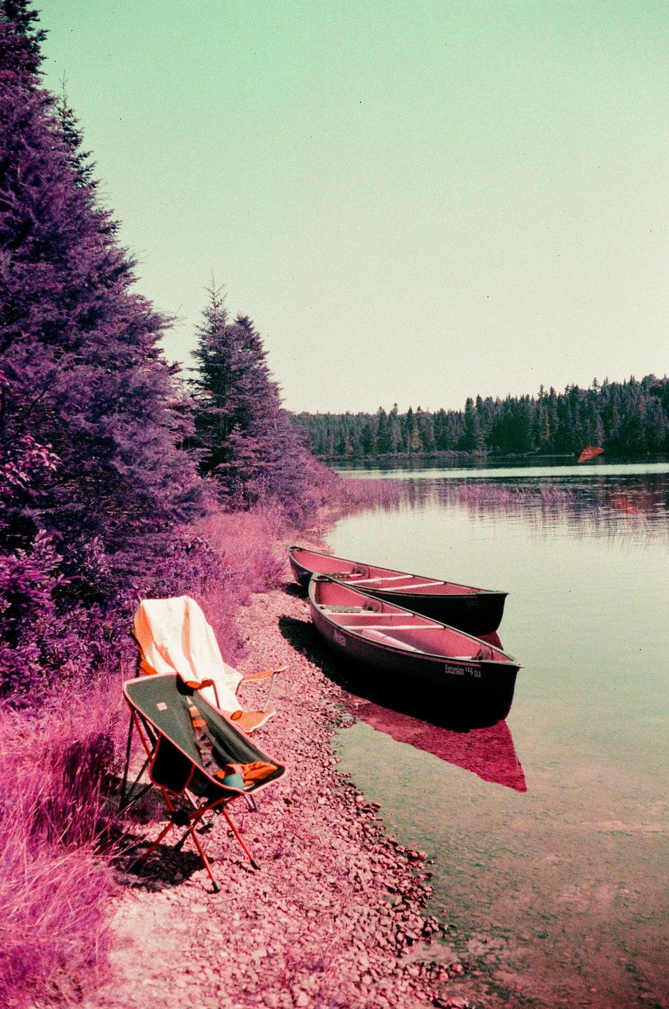 Two canoes are pulled ashore next to a lake with purple trees and a camping chair.