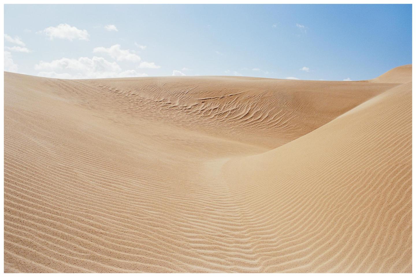 Sand dunes with ripples and a blue sky with clouds are visible in a desert landscape.