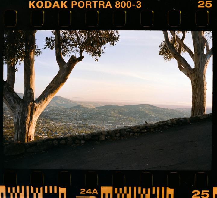 Two trees frame a view of a city nestled in a valley with mountains in the distance at dusk.