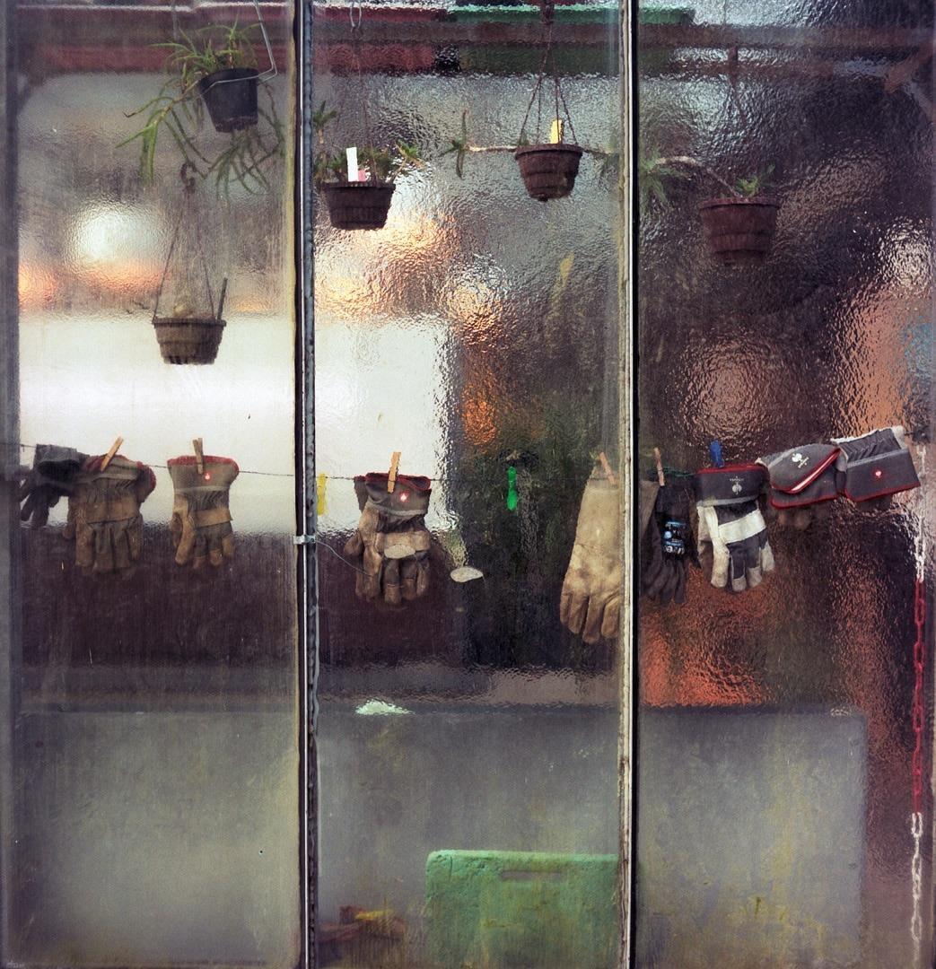 Work gloves and potted plants are visible through a textured glass window.