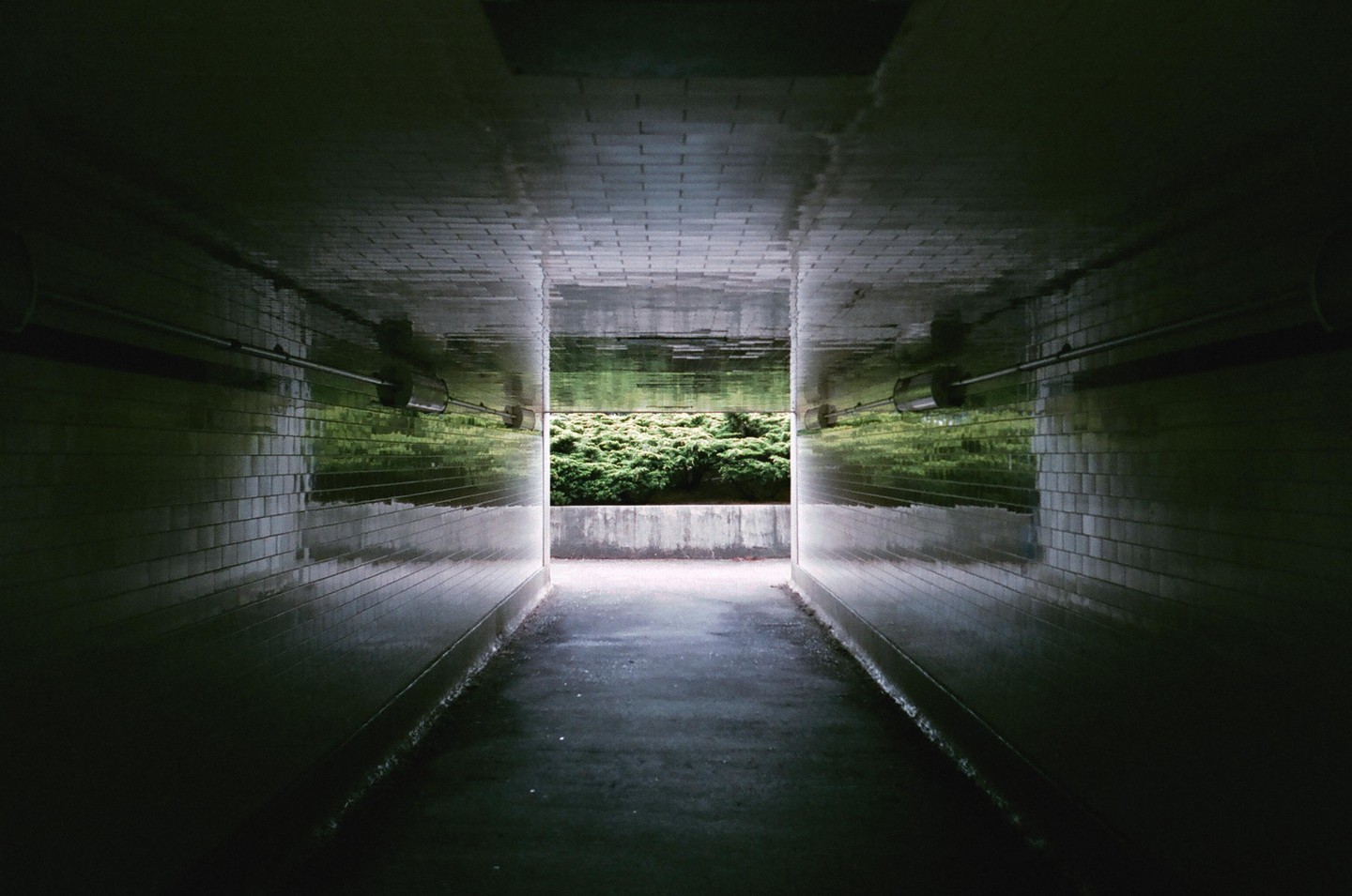 A dark tunnel with reflective tiled walls leads to an opening filled with green foliage.