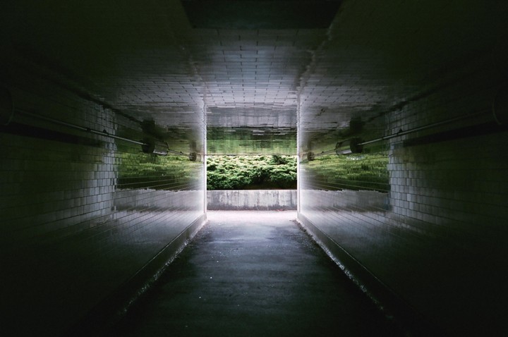 A dark tunnel with reflective tiled walls leads to an opening filled with green foliage.