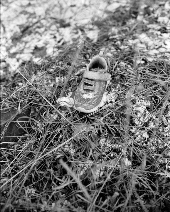A single child's shoe rests on a patch of grass and snow.