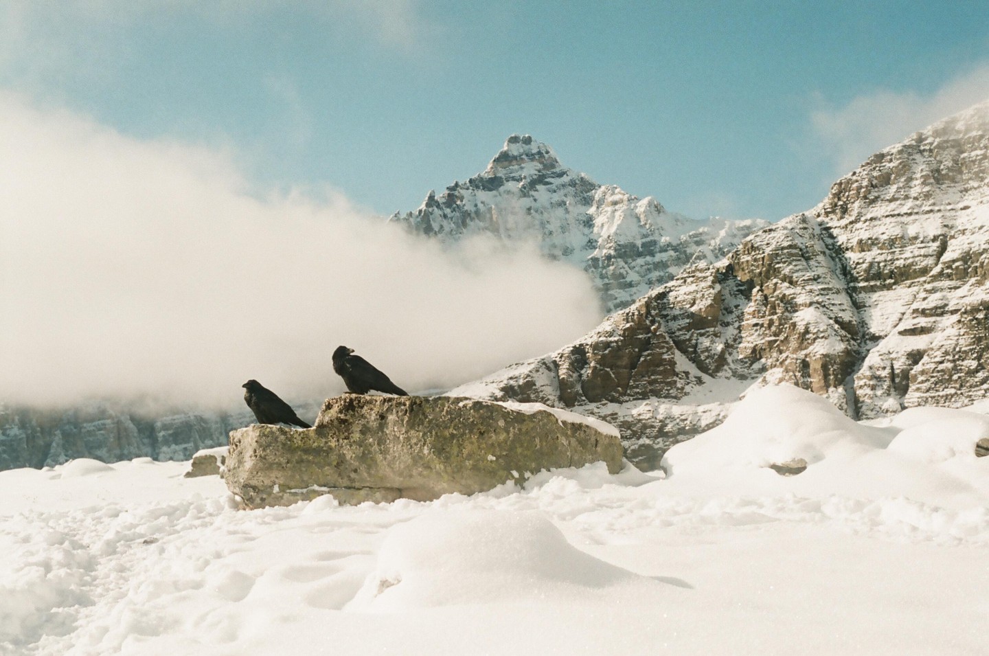 Two ravens sit on a rock in a snowy mountain landscape with clouds partially obscuring the peaks.