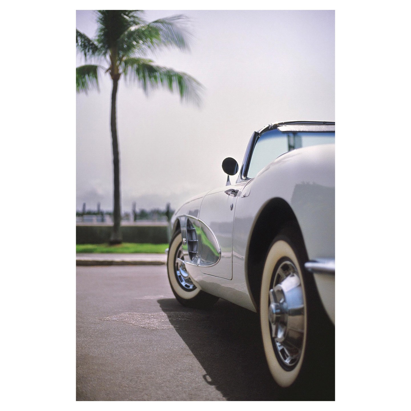A white vintage convertible is parked on a street with a palm tree in the background.