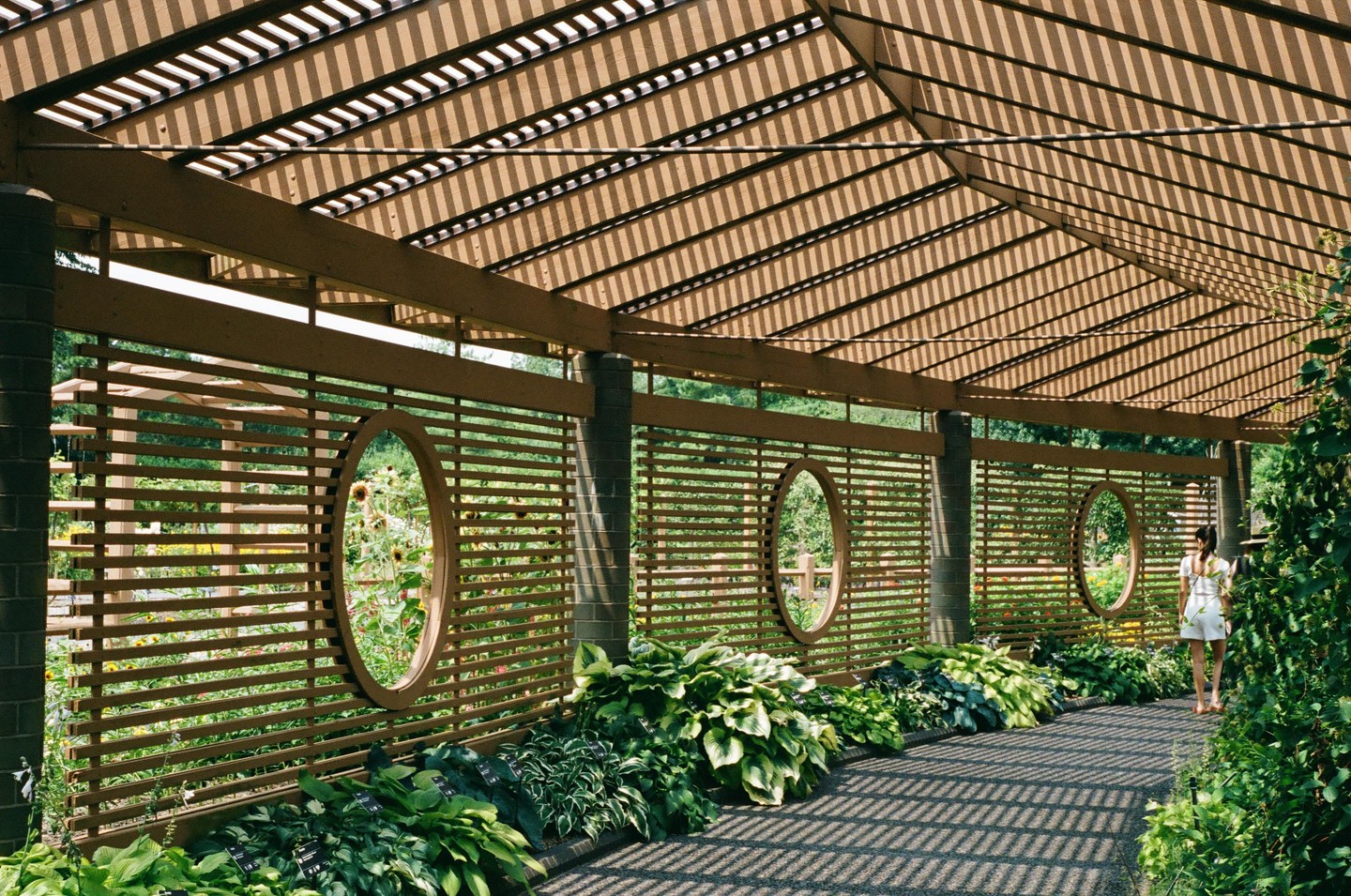 A woman walks along a shaded path next to a wooden slatted fence with oval openings looking into a garden.