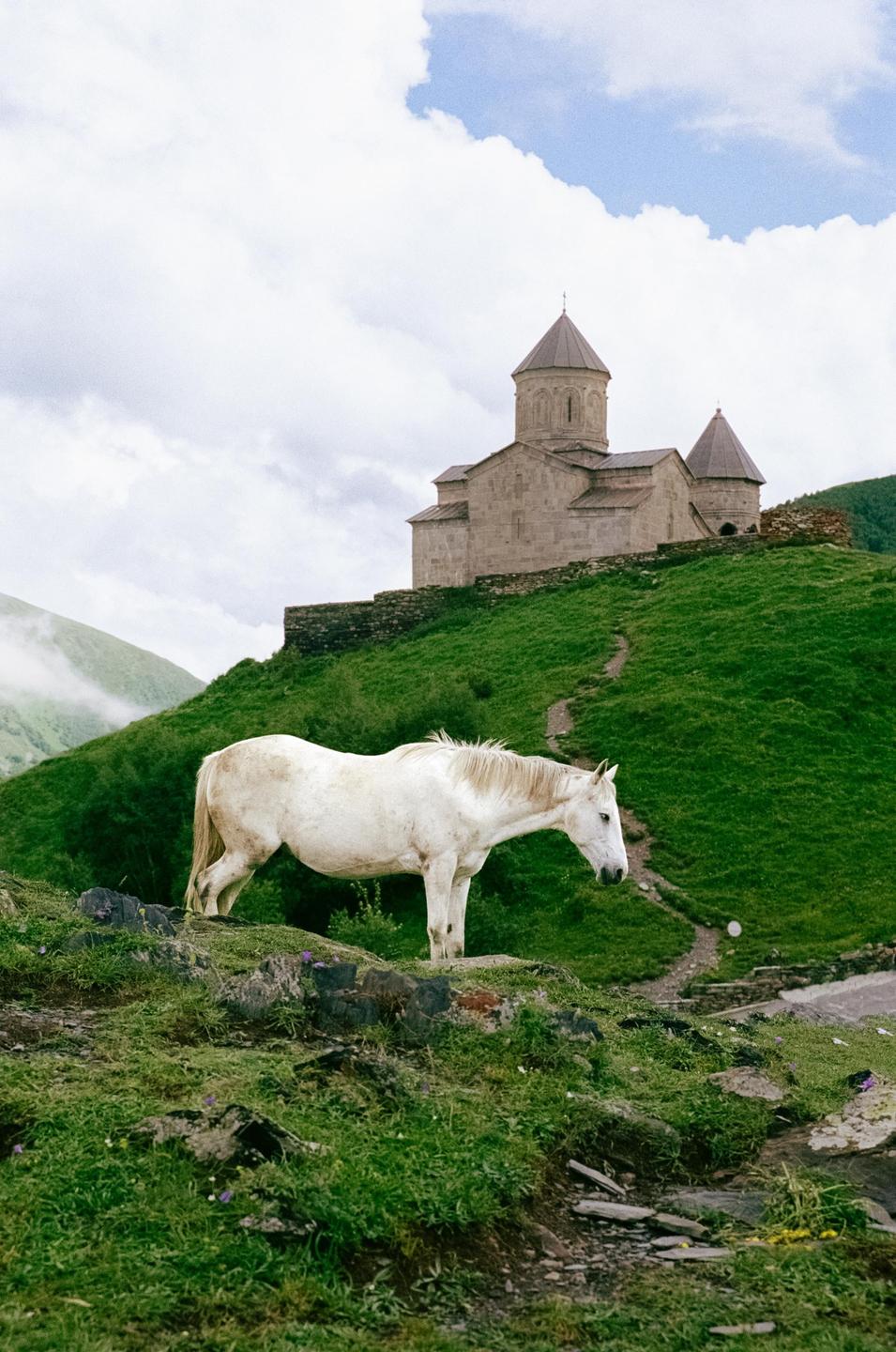 A white horse stands on a grassy hill with a stone church in the background under a cloudy sky.