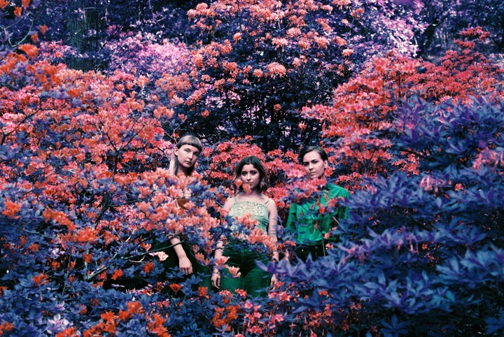 Three women stand among vibrant purple and orange foliage.