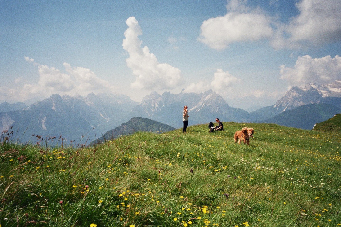 Two women and a dog are on a grassy mountain with a mountain range in the background.