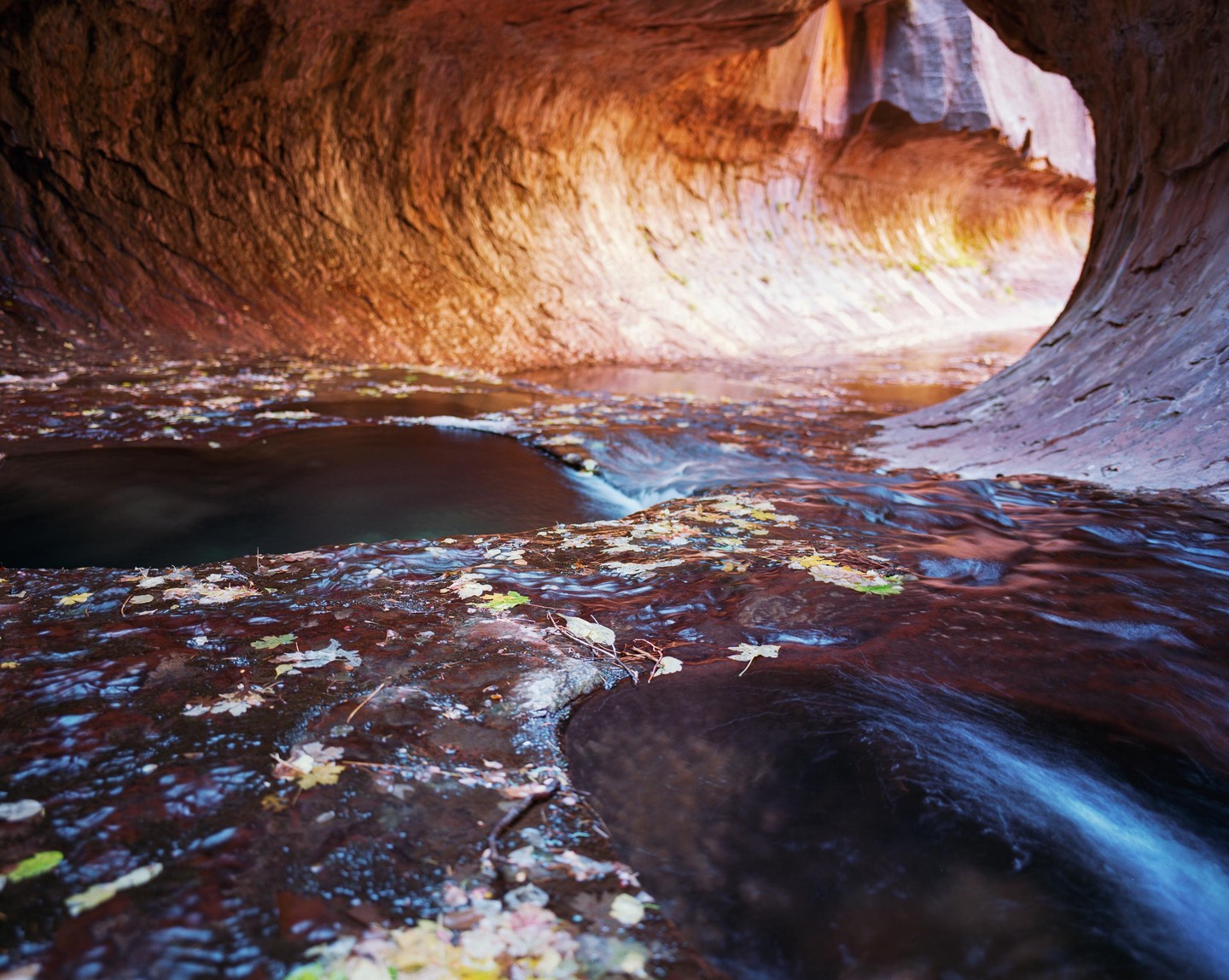 A stream flows through a narrow canyon with autumn leaves scattered on the water and rocks.
