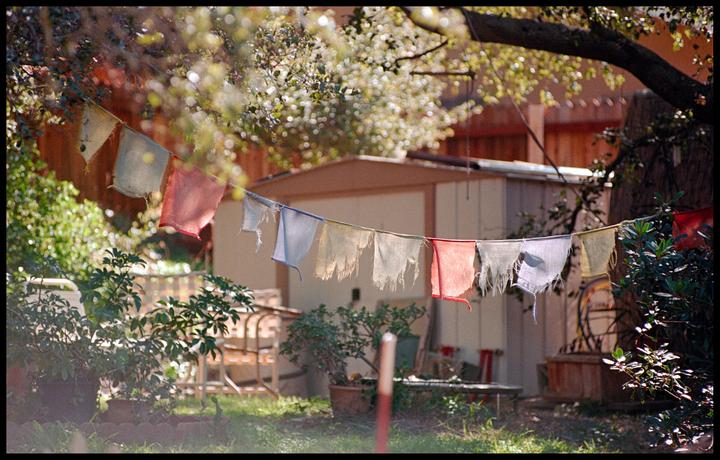 Prayer flags hang on a string in a sunlit garden with a shed in the background.