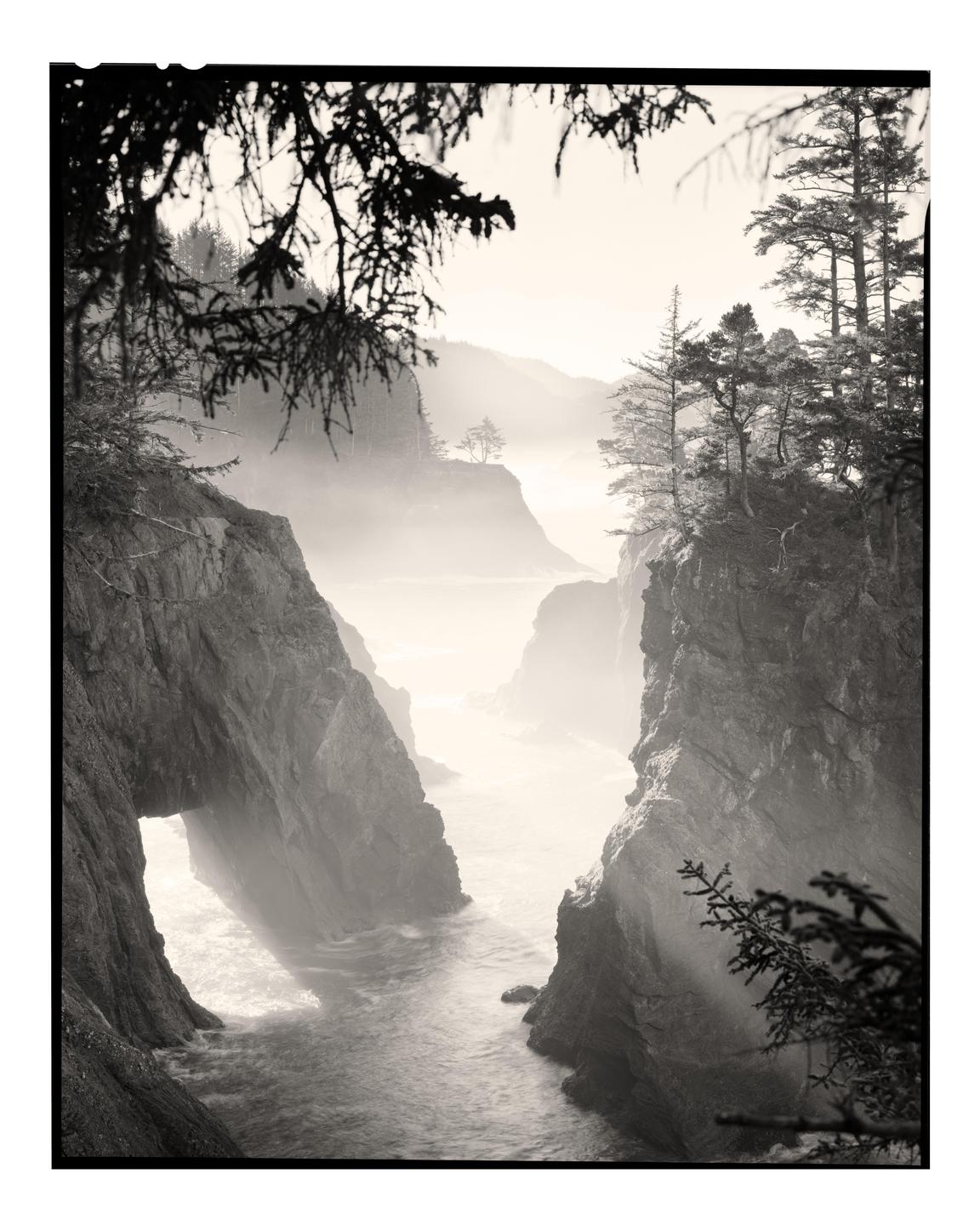 A misty coastal landscape features rugged cliffs, a natural arch, and evergreen trees under a bright sky.