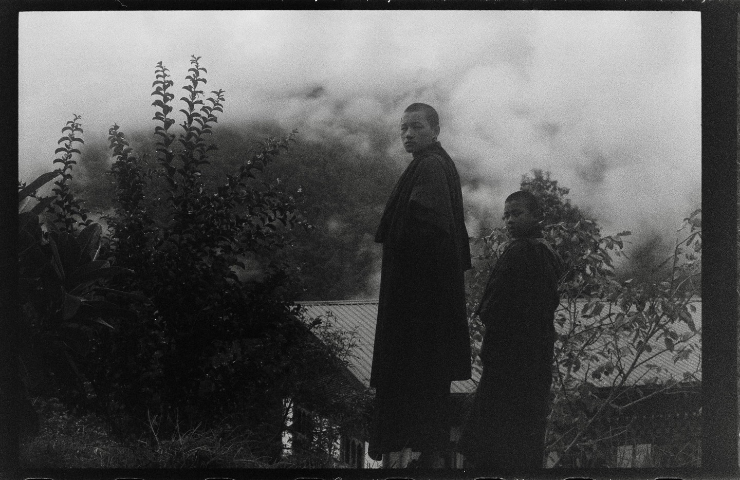 Two monks stand among lush foliage with a foggy mountain in the background.