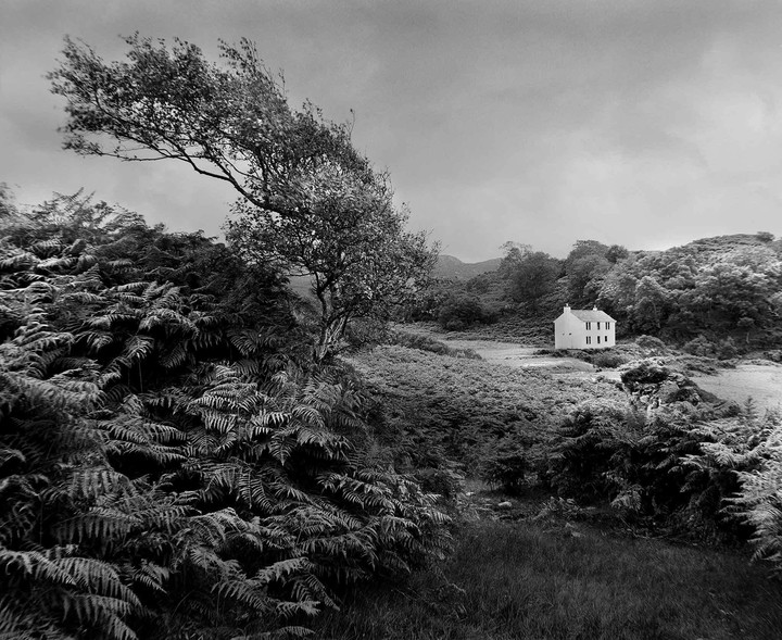 A small white house sits in a valley surrounded by ferns and trees under a cloudy sky.