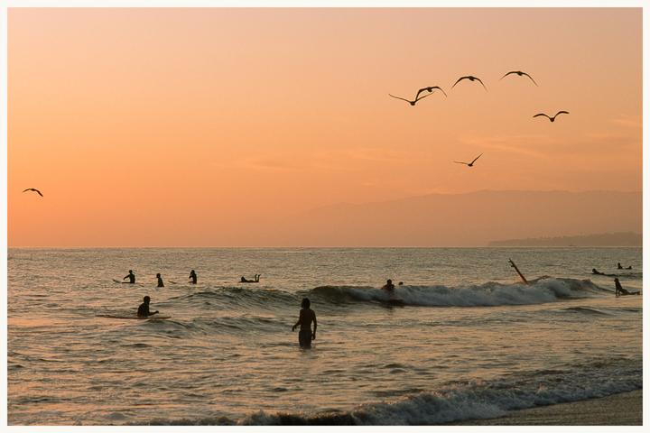 A group of surfers are in the ocean at sunset with birds flying overhead.