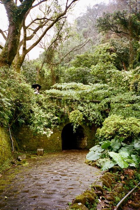 A woman with an umbrella stands on a mossy stone bridge over a dark tunnel entrance, surrounded by lush green foliage.