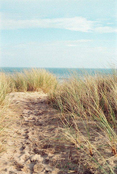 A sandy path leads through dunes covered in tall grass towards the ocean under a clear sky.