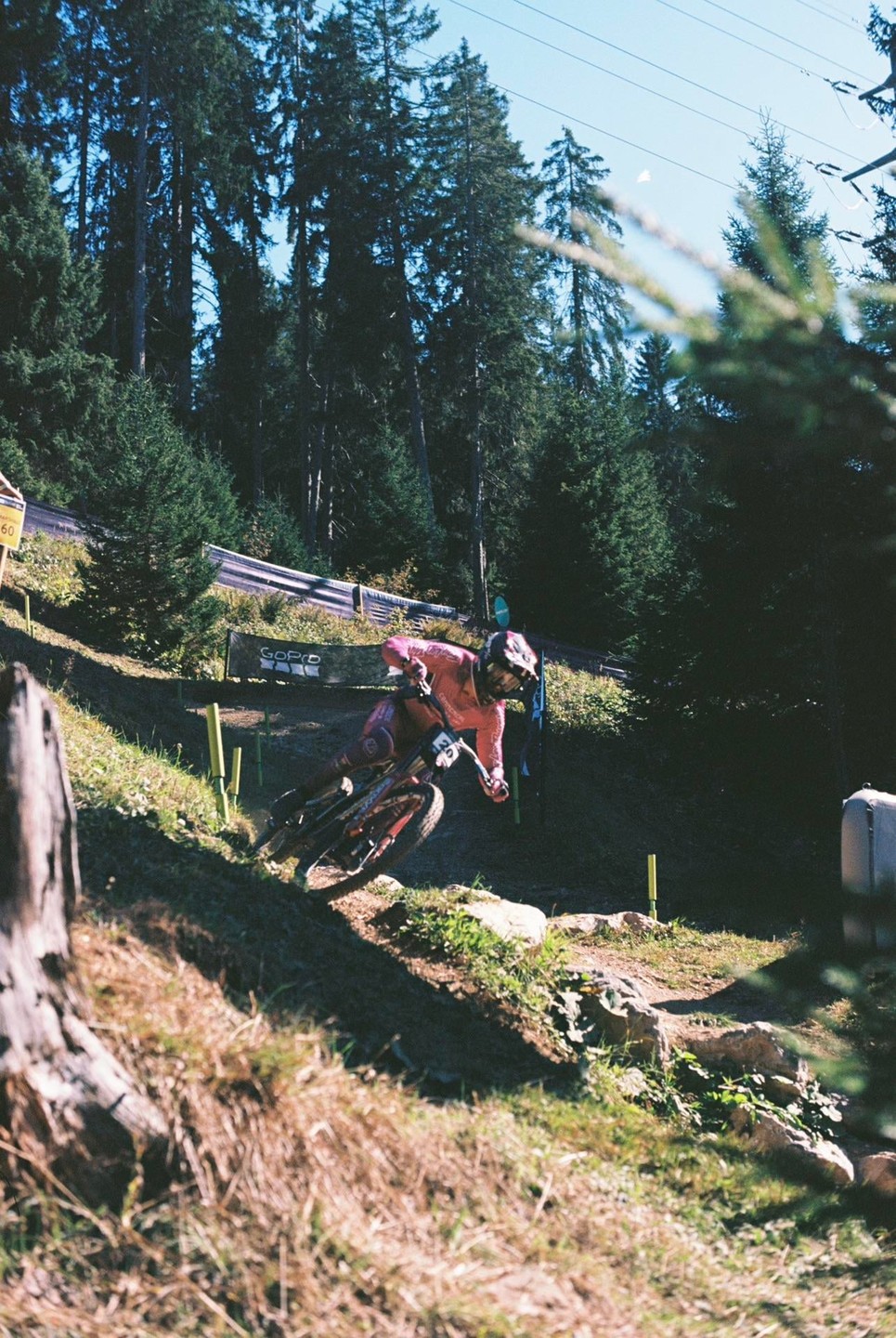 A person in a pink suit rides a mountain bike down a dirt track lined with pine trees.