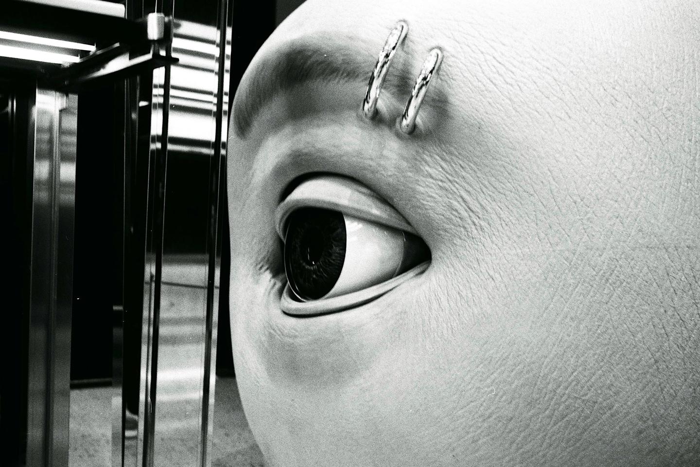 A mannequin's eye with eyebrow piercings is visible next to a reflective surface.