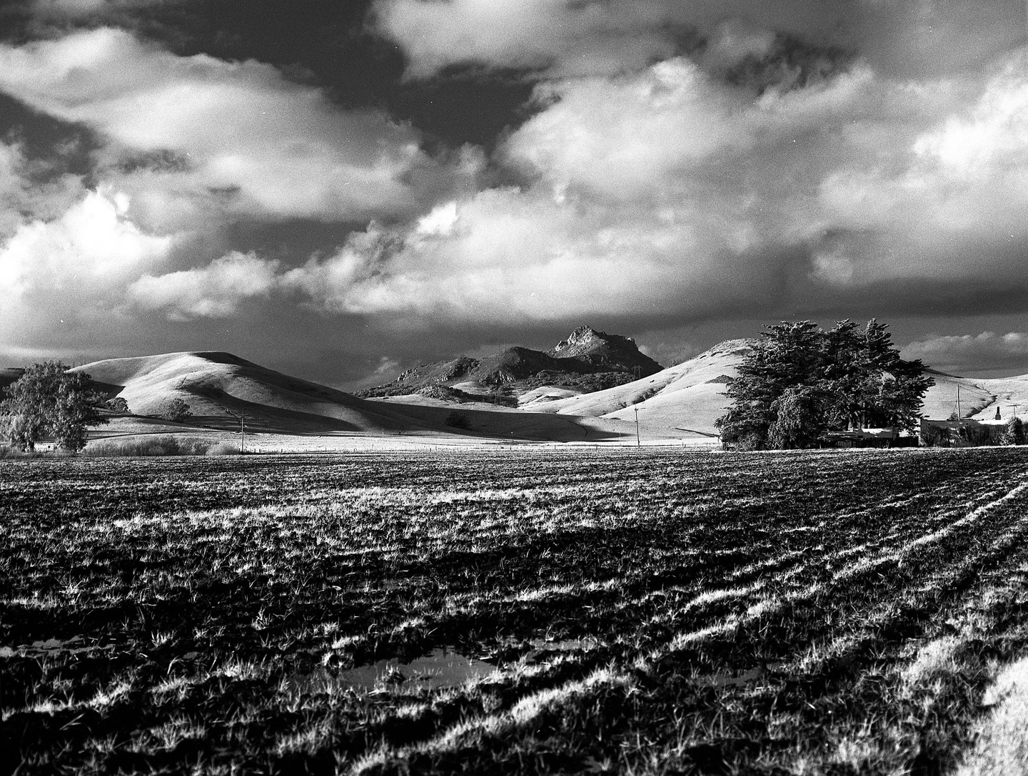 A vast field with rows of crops leads to rolling hills and a distant mountain under a dramatic cloudy sky.