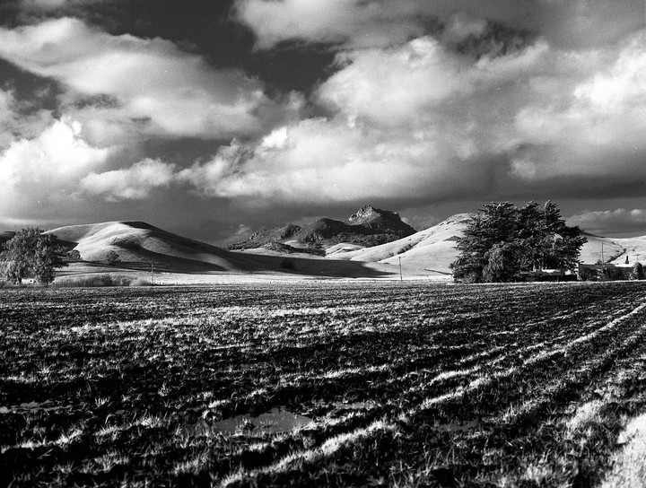 A vast field with rows of crops leads to rolling hills and a distant mountain under a dramatic cloudy sky.