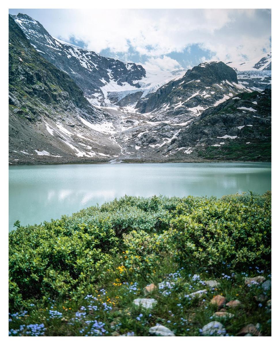 A glacial lake is surrounded by snow-capped mountains and green foliage with small blue and yellow flowers.
