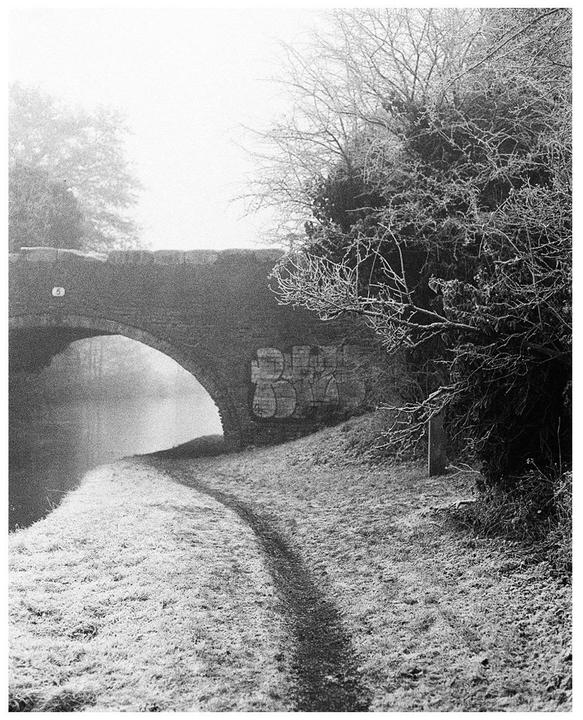 A path leads under a stone bridge with graffiti on a hazy, frosty day.