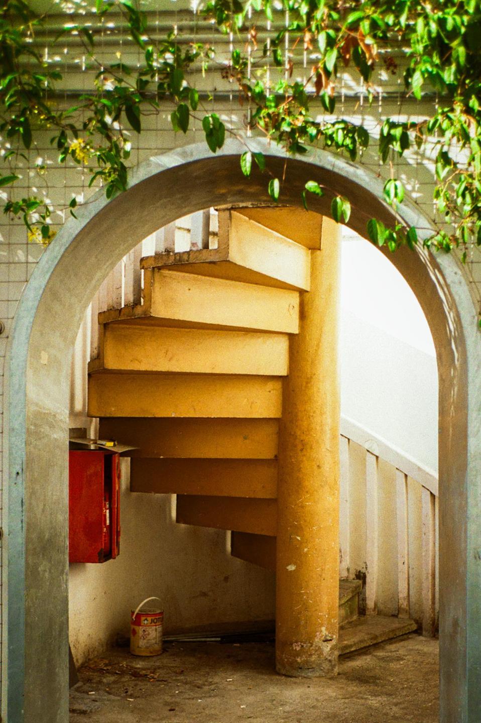 A yellow spiral staircase is visible through an archway, with green vines hanging from above.