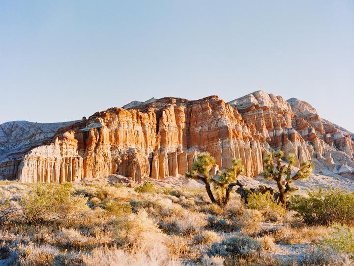 A desert landscape features a large red rock formation with Joshua trees and scrub brush in the foreground.