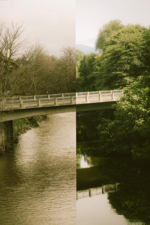 A bridge crosses a river with trees on both banks, with the left side of the image showing bare trees and the right side showing lush green foliage.