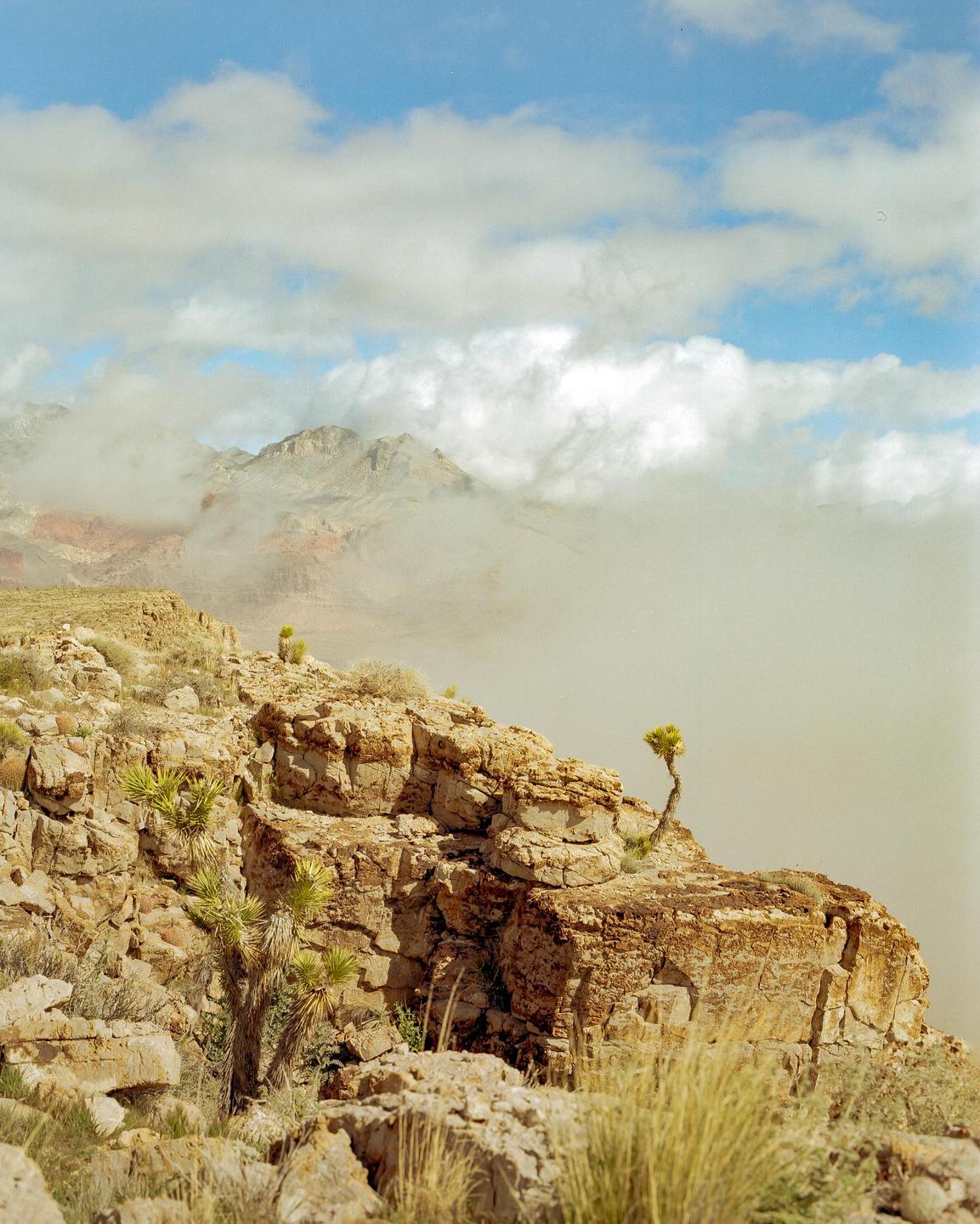 Clouds obscure the mountains behind a rocky desert landscape with sparse vegetation.