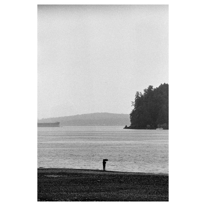 A person stands on a beach holding an umbrella, looking out at the water with a forested island and a large ship in the distance.