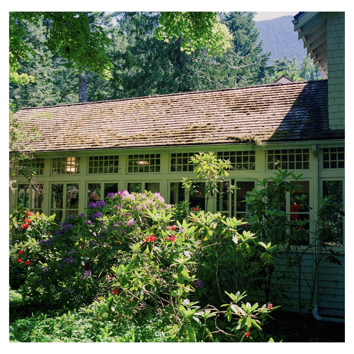 A building with a mossy roof and many windows is surrounded by flowering bushes and trees.