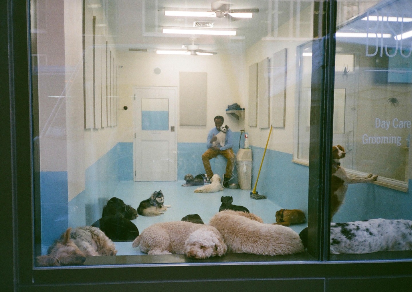 A man sits with a dog in a room full of dogs, seen through a window.