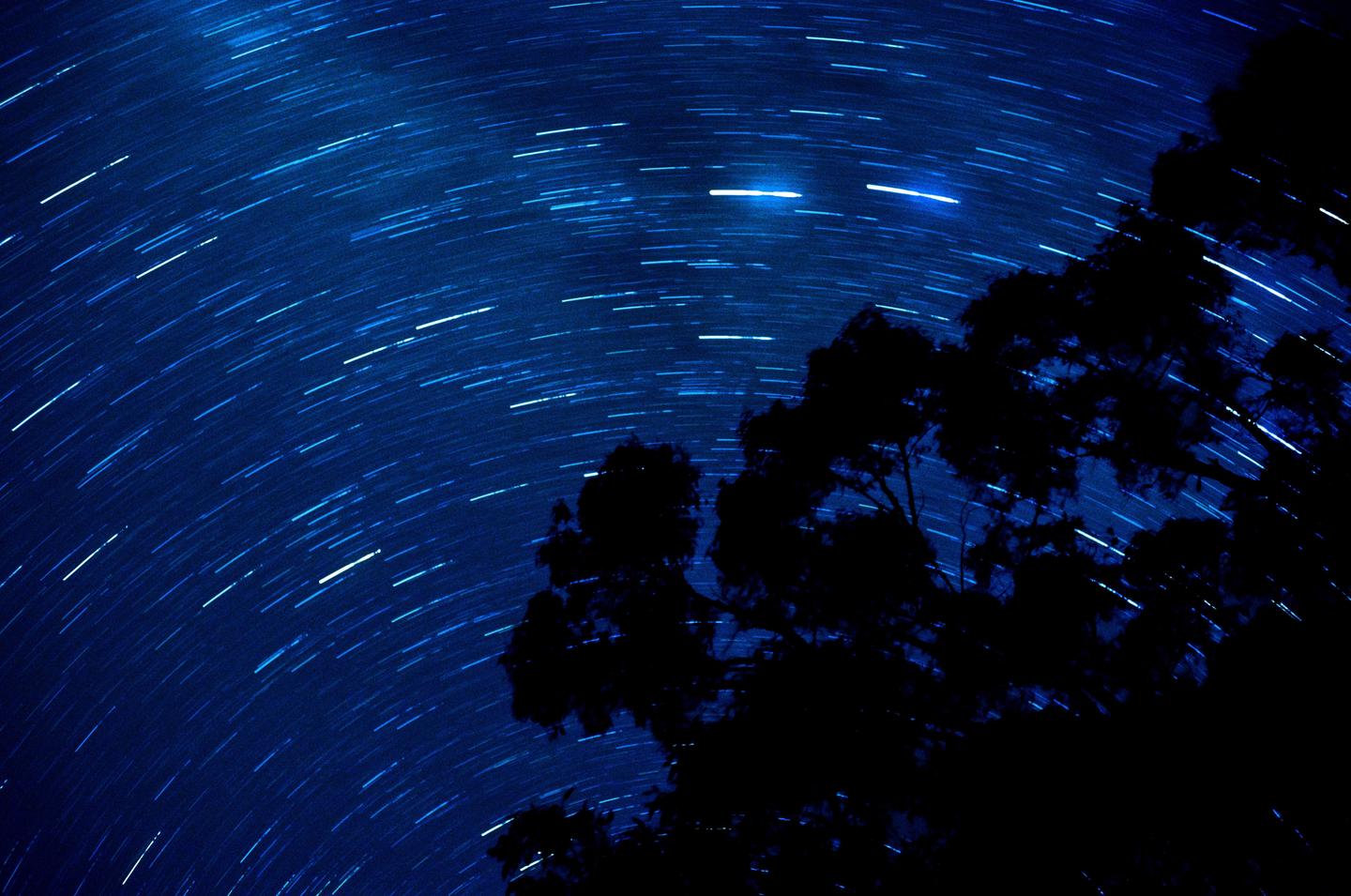 A long exposure photograph captures star trails arcing across the night sky above silhouetted trees.