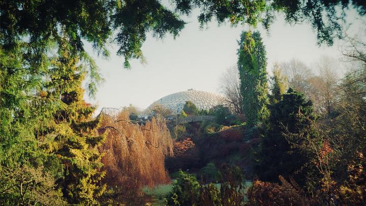 A geodesic dome is visible through a frame of trees and foliage.