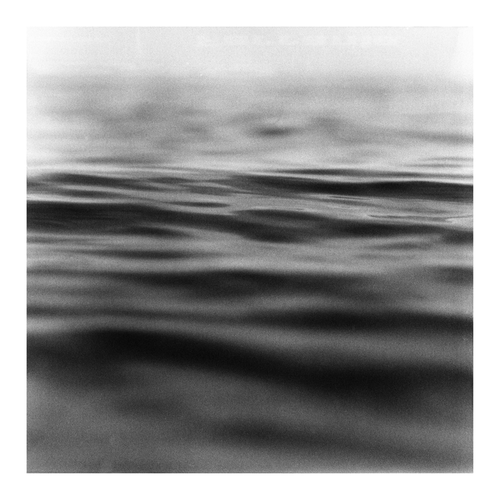 The surface of water shows ripples and reflections.