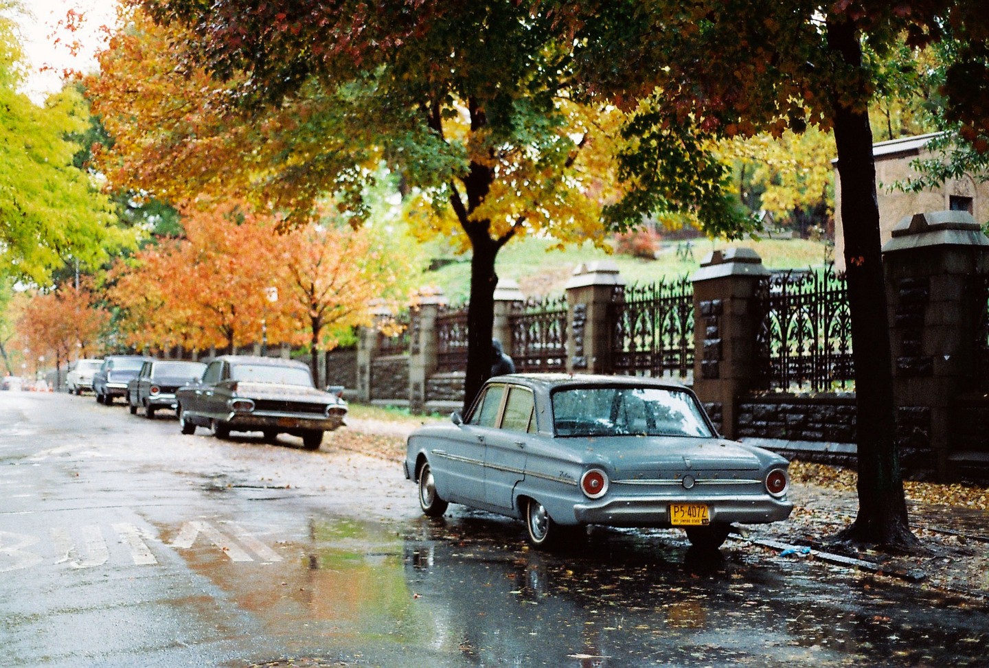 A street with parked cars is wet from rain, and trees with autumn foliage line the road.