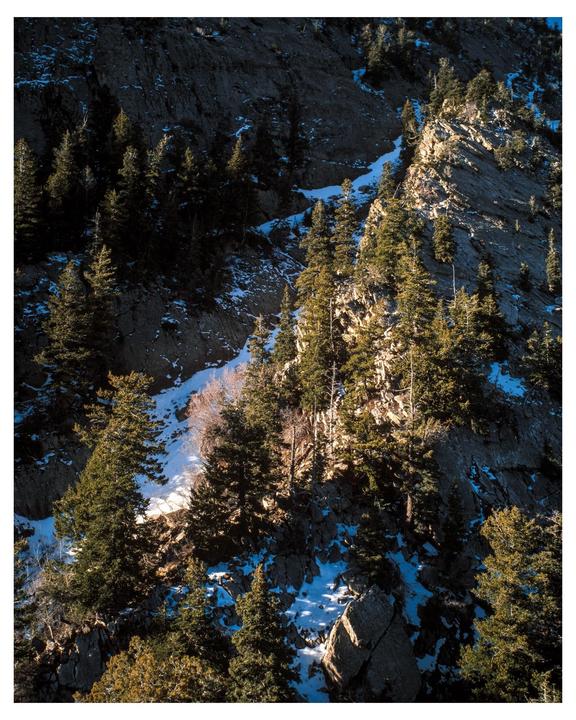 A steep, rocky mountain slope is covered with evergreen trees and patches of snow.