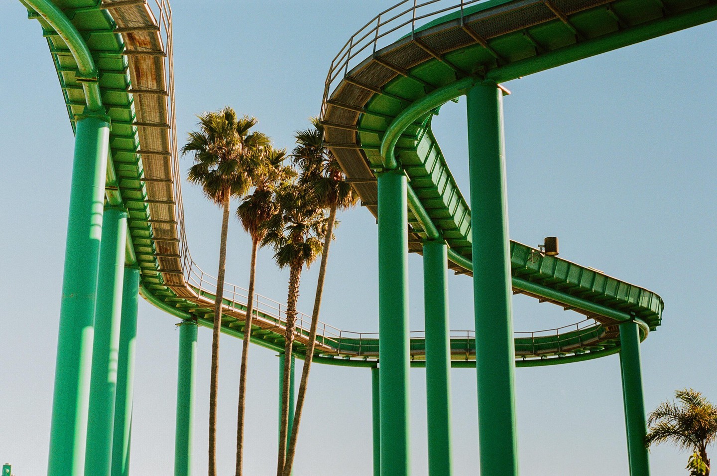 A green roller coaster track curves through the sky, with palm trees visible beneath it.
