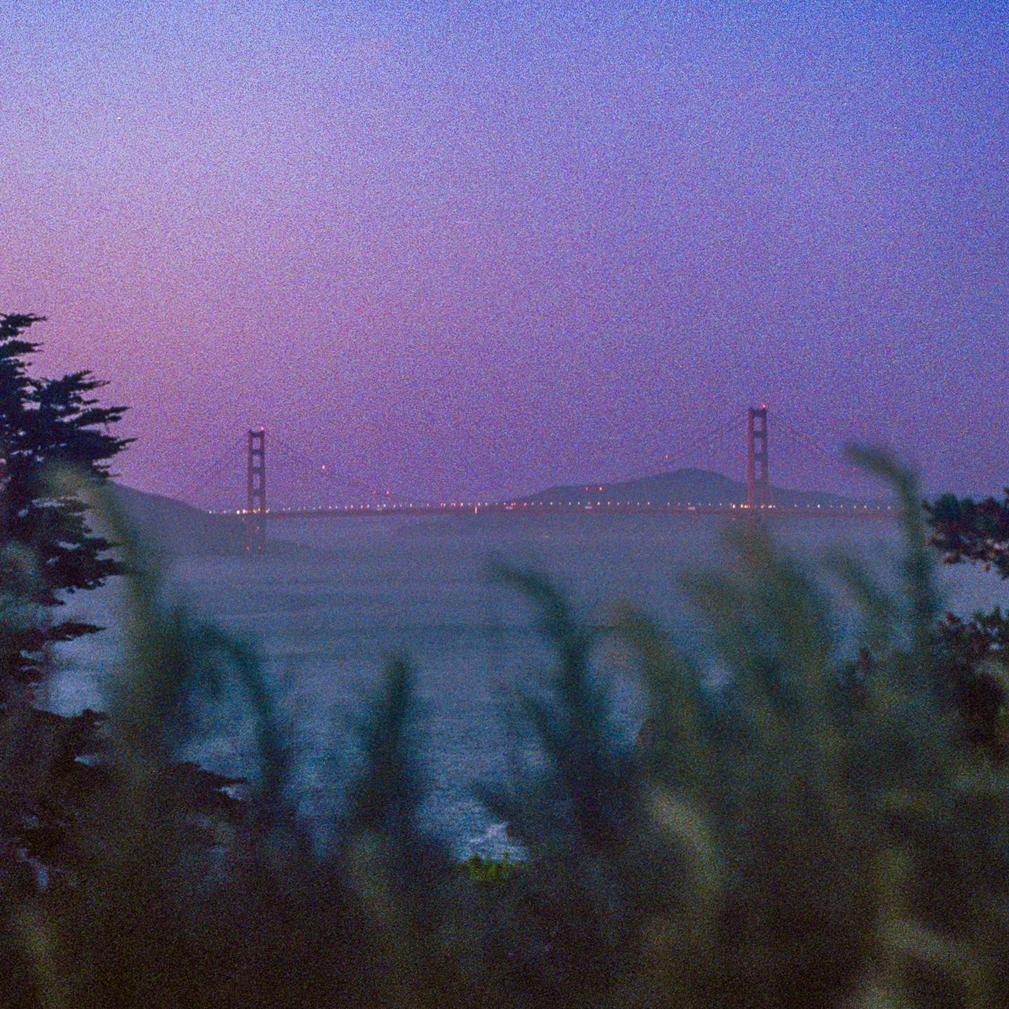 The Golden Gate Bridge is visible across a body of water at dusk, with foliage in the foreground.
