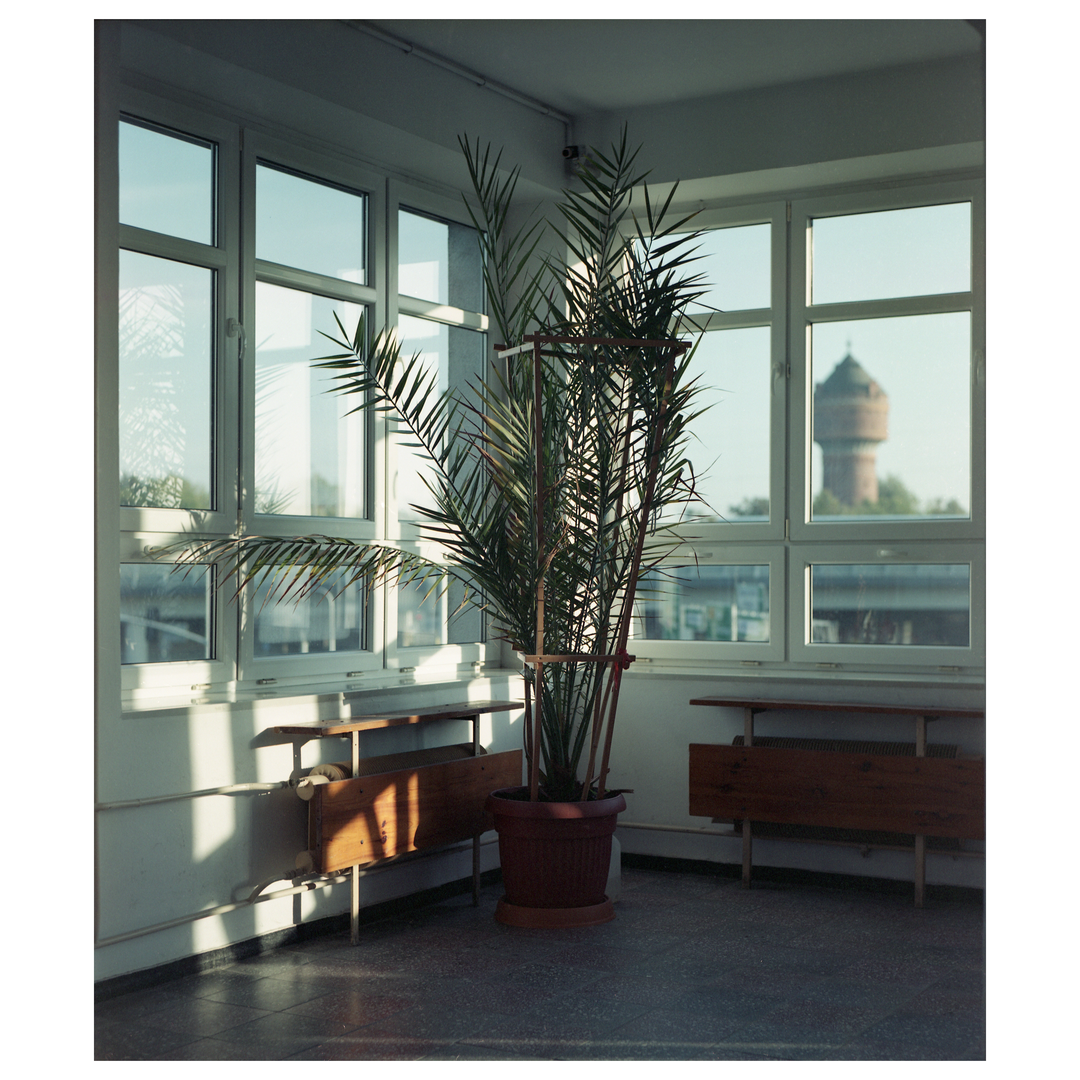 Waiting for my lecture [Mamiya Super 23, 100mm f/3.5, Fuji NPS 160], shot on MAMIYA SUPER 23