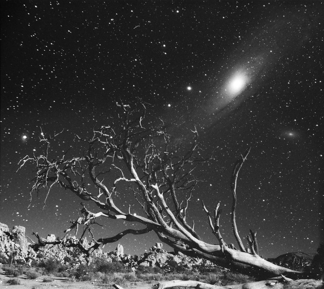 An Afternoon infront of Andromeda [Pentax MX + Acros 100II], shot on FUJIFILM NEOPAN 100 ACROS II
