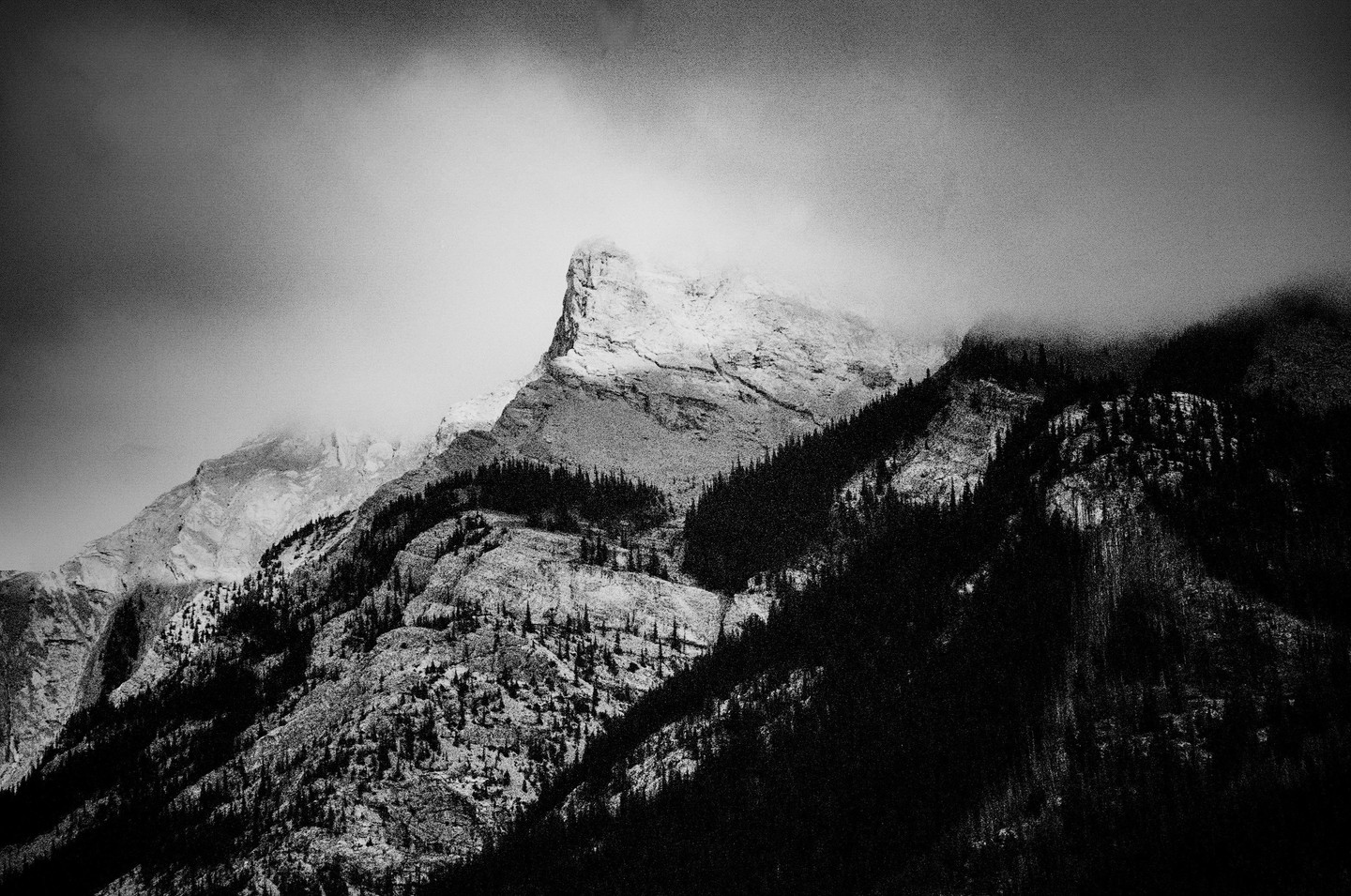 A mountain peak is partially obscured by clouds, with dark evergreen trees covering its lower slopes.