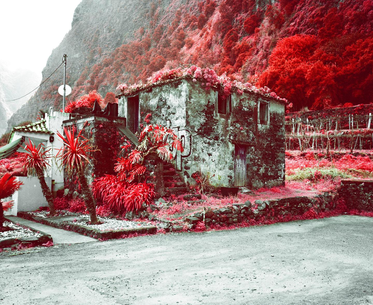 An abandoned stone house with red foliage on a hillside is next to a road.
