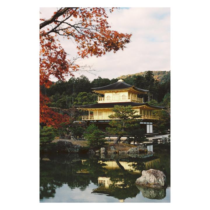 A golden temple stands beside a pond with autumn foliage in the foreground and background.