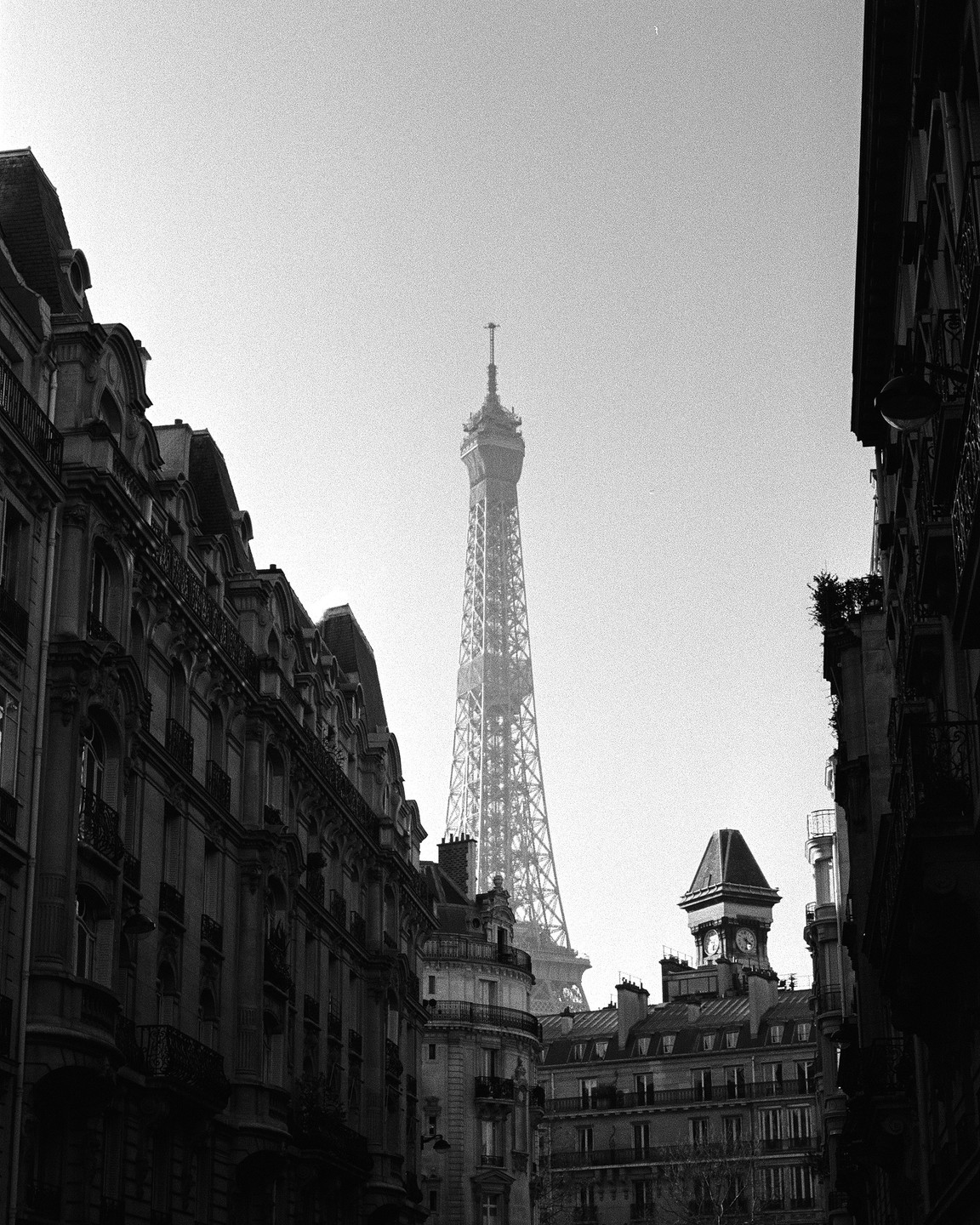 The Eiffel Tower rises above buildings in a city.