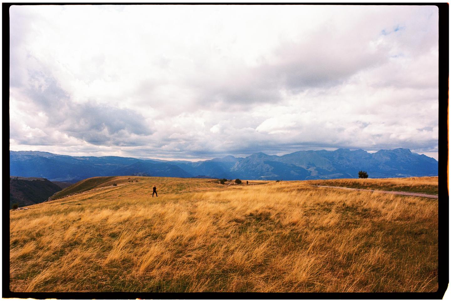 A person walks through a vast field of golden grass under a cloudy sky with mountains in the distance.