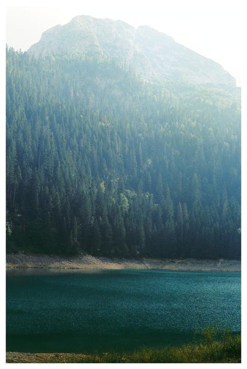 A mountain covered in pine trees rises above a lake with a rocky shore.