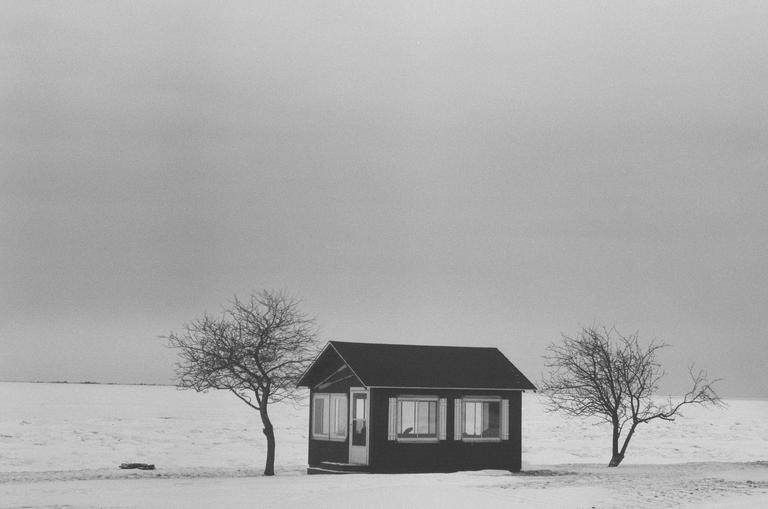 A small dark cabin with white window frames stands in a snow-covered field between two bare trees under a gray sky.
